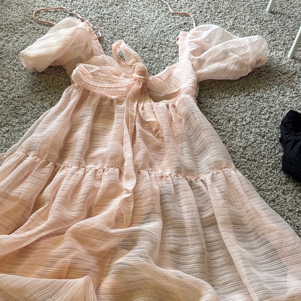 Free People Pink Sheer Dress
